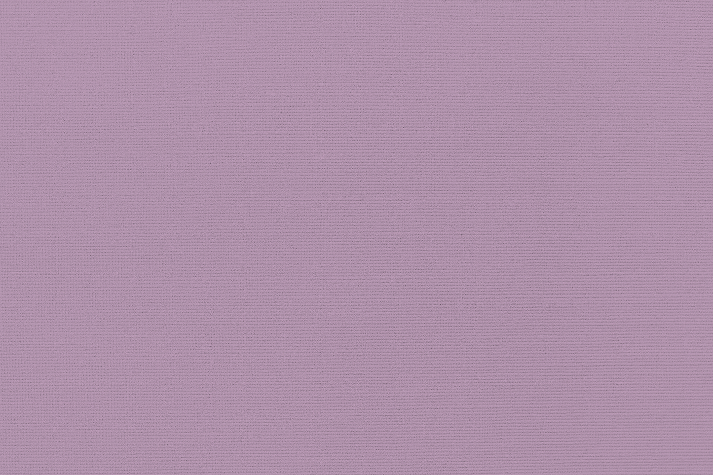 Asamurasaki Wallpaper